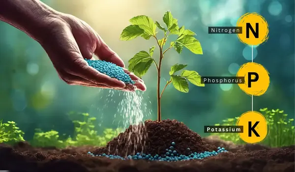 Fertilizer Pack