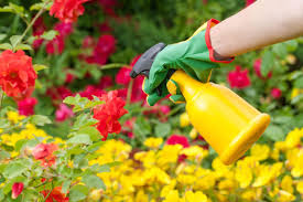 Pesticide Bottle