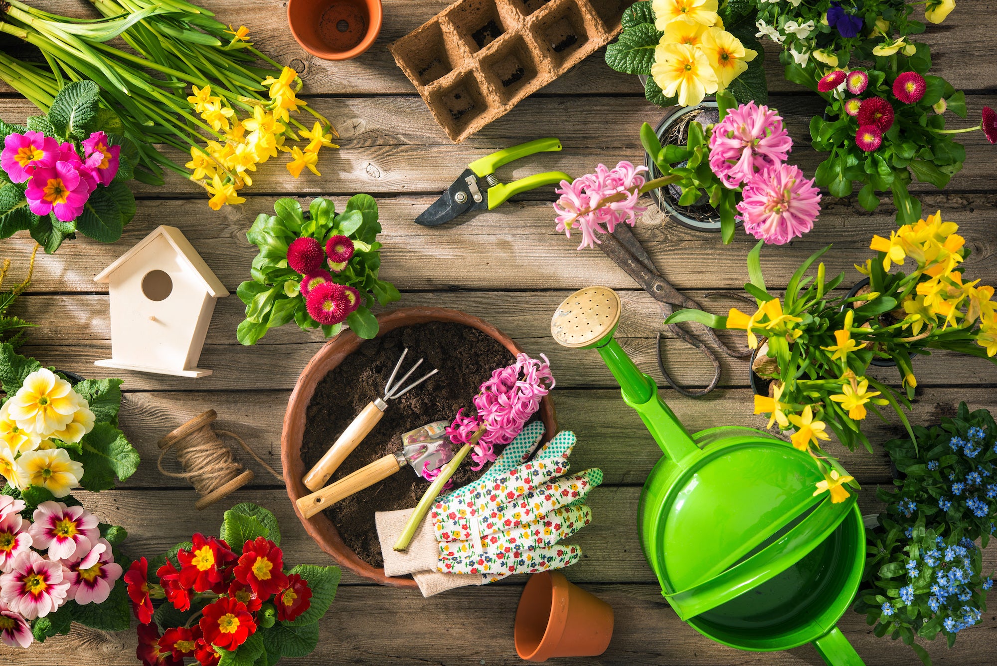 Garden Tool
